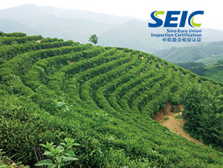 體系認(rèn)證服務(wù)